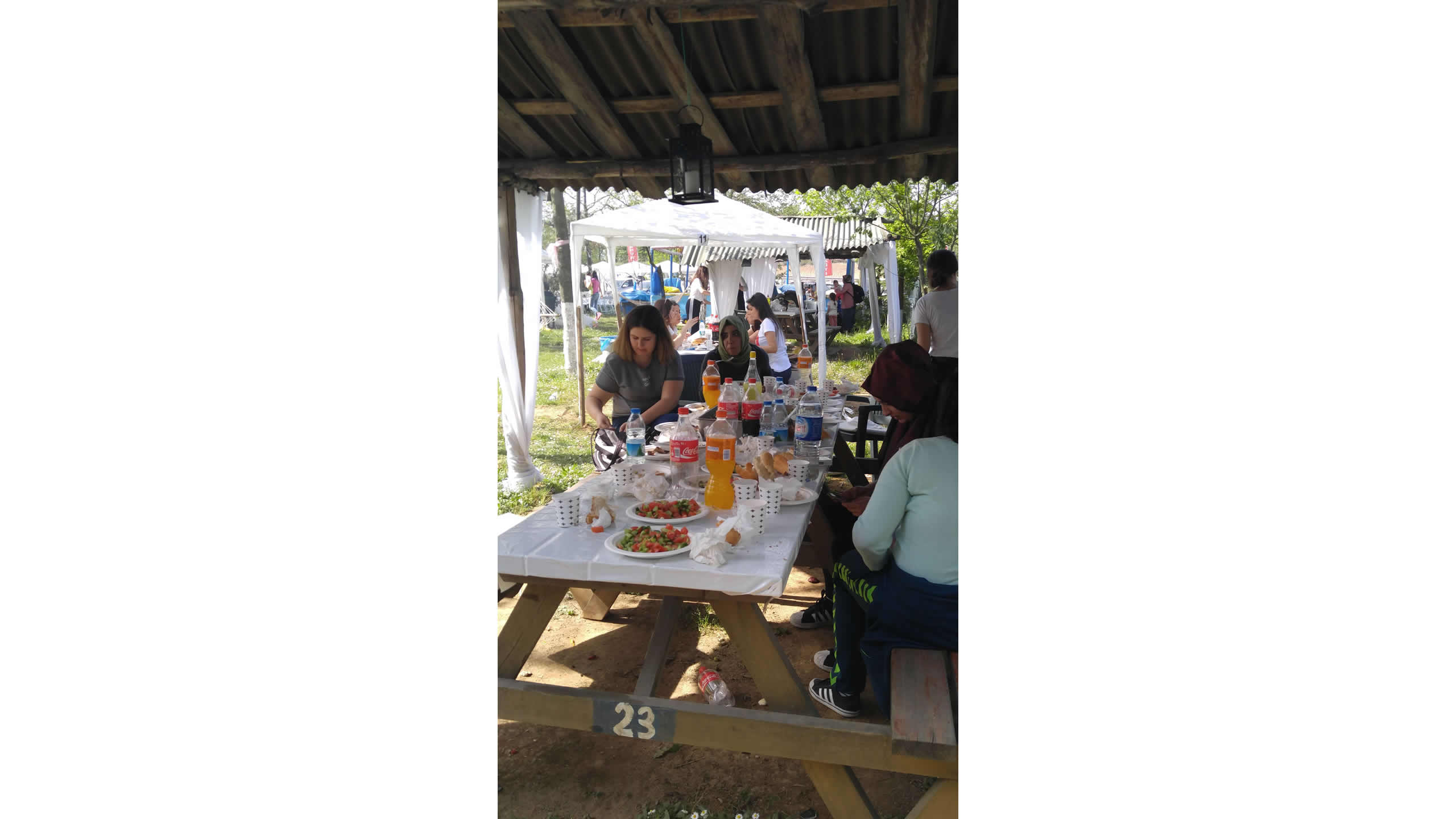 Piknik resim 34
